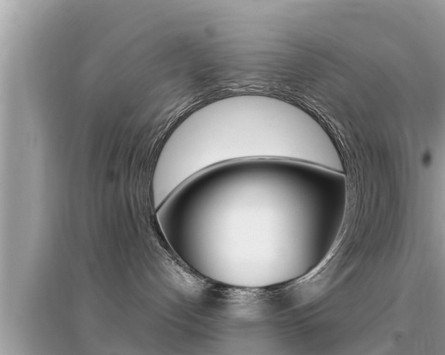 X0000095110192200712070928