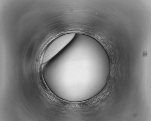 X0000095110194200712070927
