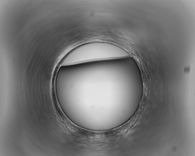 X0000095110196200712070927