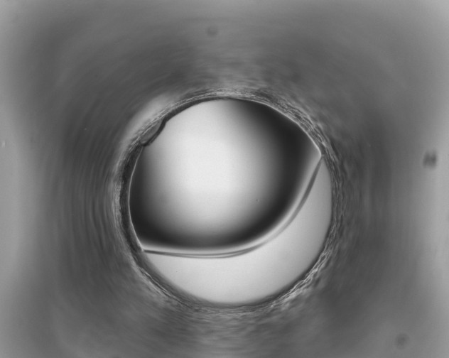 X0000095110197200712070927