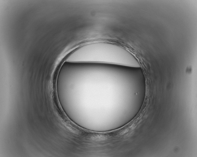 X0000095110198200712070927