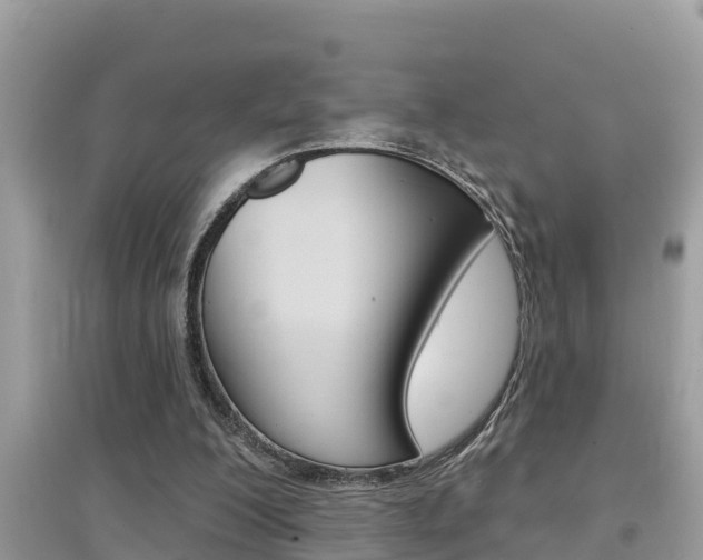 X0000095110200200712070927