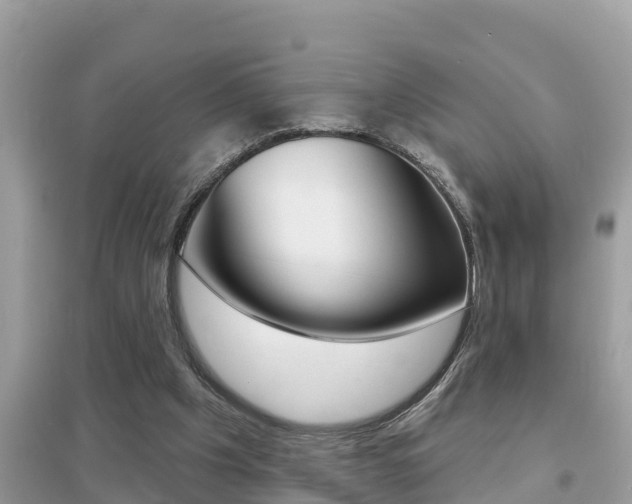 X0000095110201200712070927