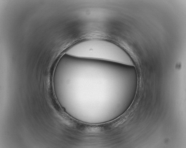 X0000095110202200712070927