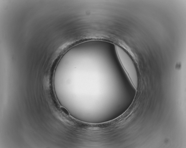 X0000095110203200712070927