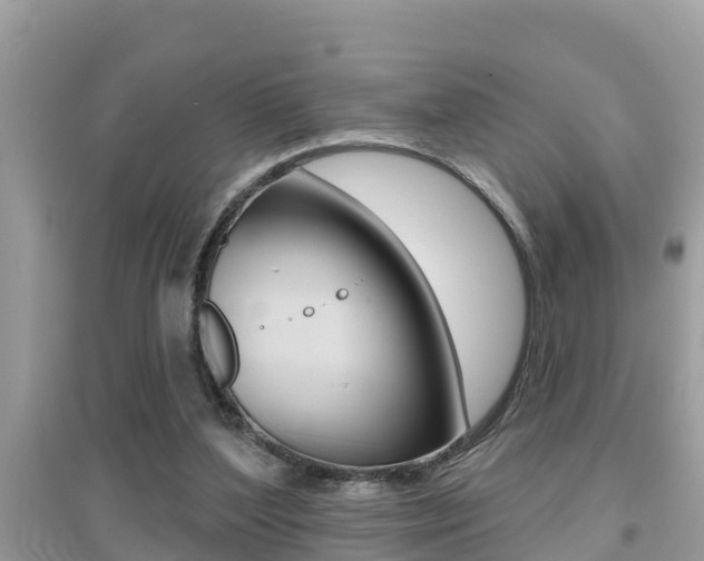 X0000095110204200712070927