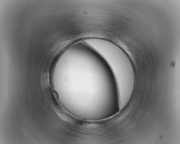 X0000095110205200712070927