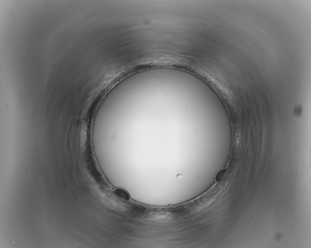 X0000095110206200712070927