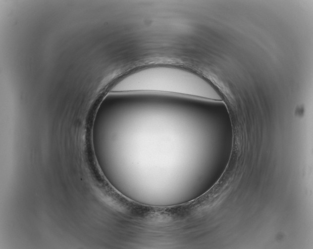 X0000095110207200712070927