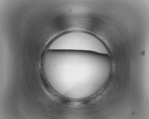 X0000095110208200712070927