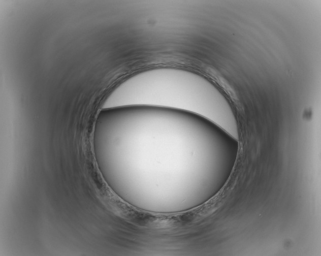 X0000095110209200712070927