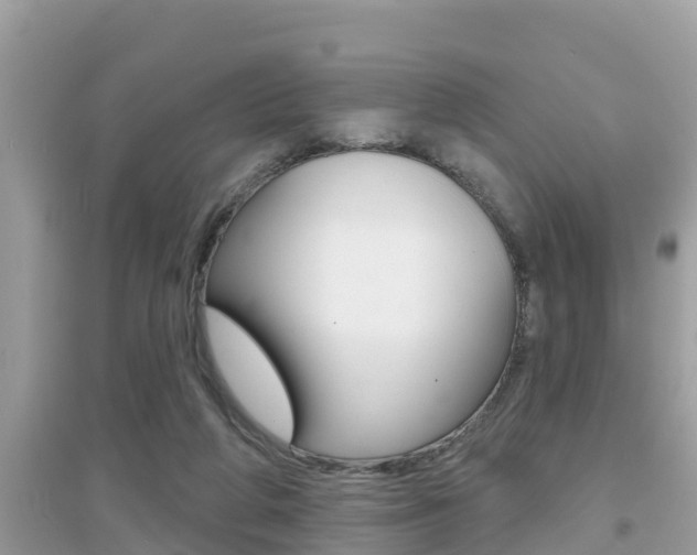 X0000095110210200712070927