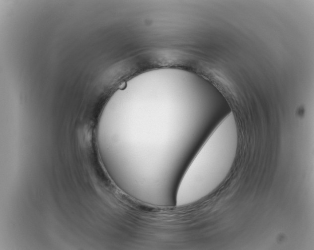 X0000095110214200712070927