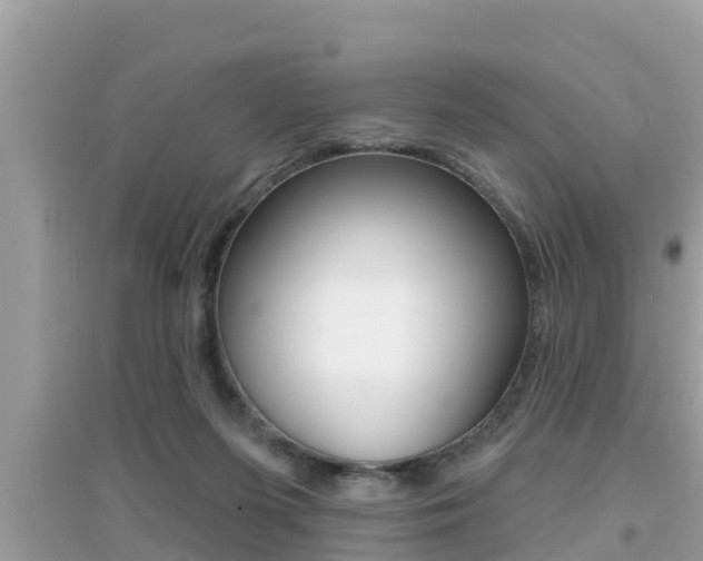 X0000095110215200712070927