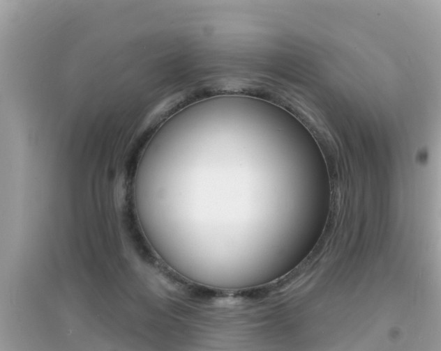 X0000095110216200712070927