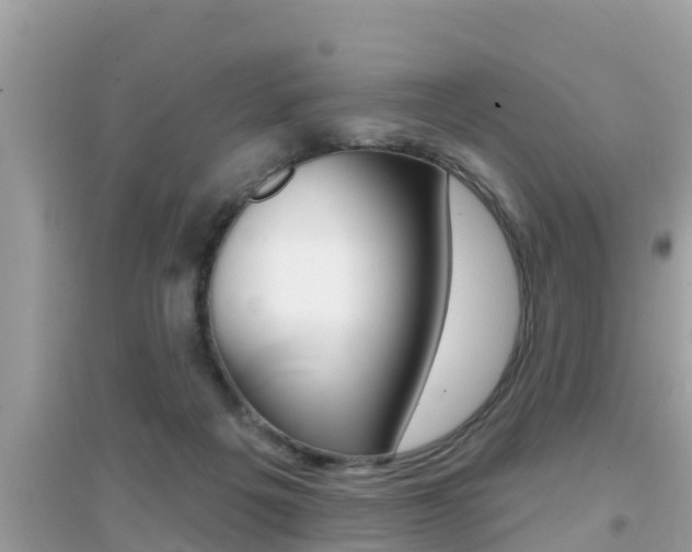 X0000095110217200712070927