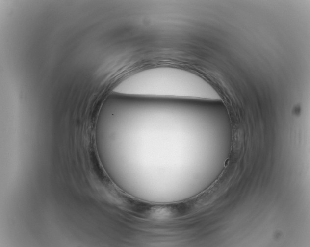 X0000095110218200712070927