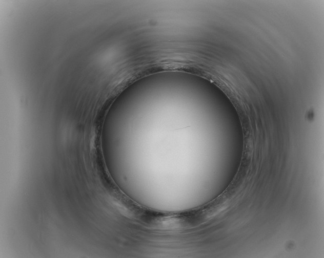X0000095110219200712070927