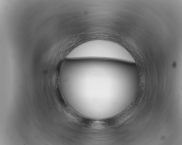 X0000095110222200712070927