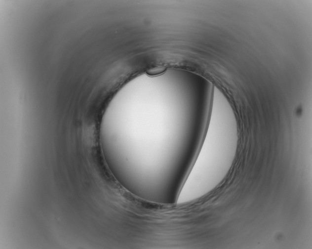 X0000095110224200712070927