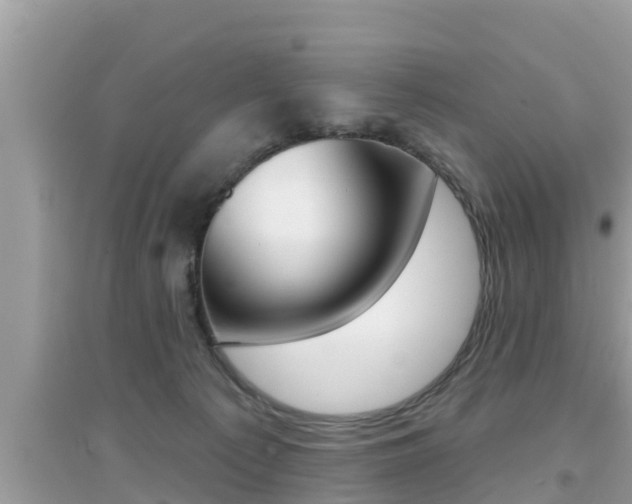 X0000095110225200712070927