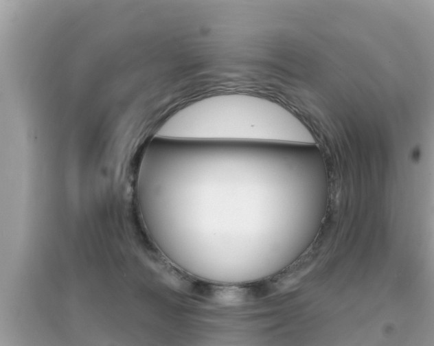 X0000095110226200712070927