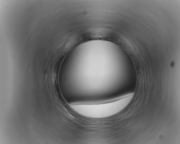 X0000095110227200712070927