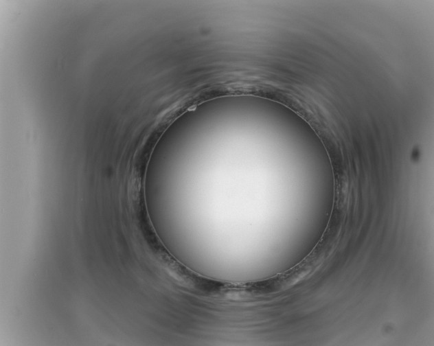 X0000095110228200712070927