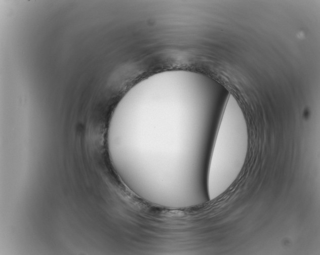 X0000095110230200712070927