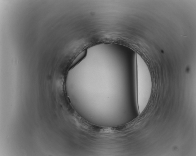 X0000095110231200712070927