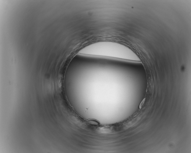 X0000095110232200712070927