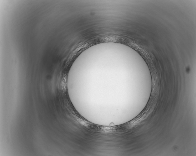 X0000095110240200712070927