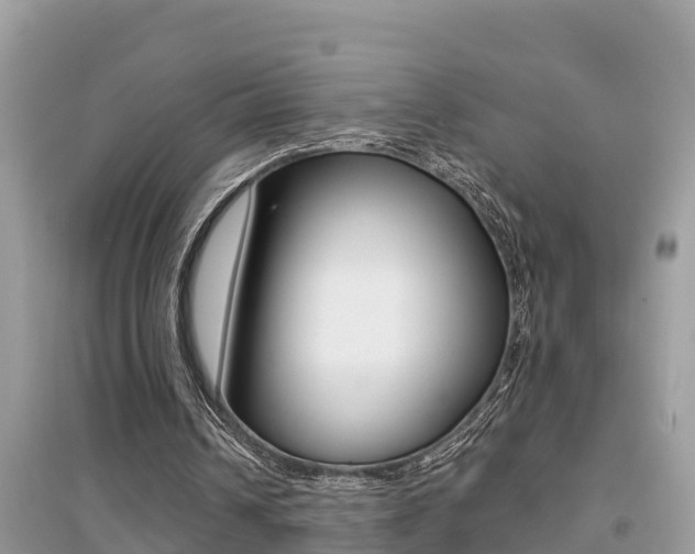 X0000095110242200712070926
