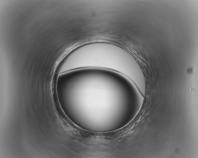 X0000095110244200712070926