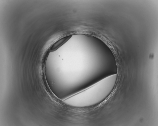 X0000095110245200712070926