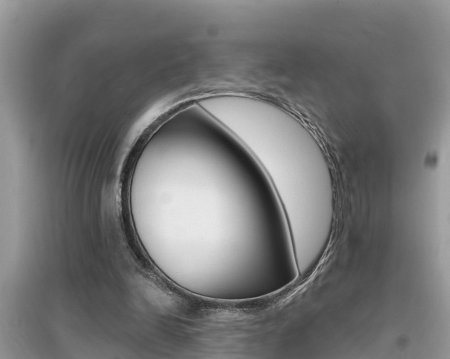 X0000095110246200712070926