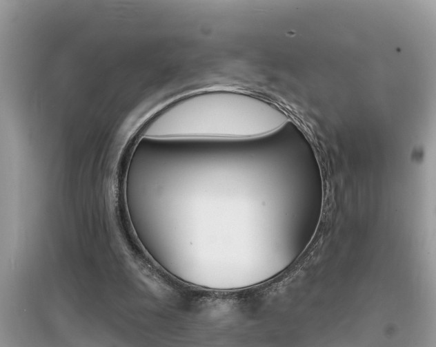 X0000095110247200712070926