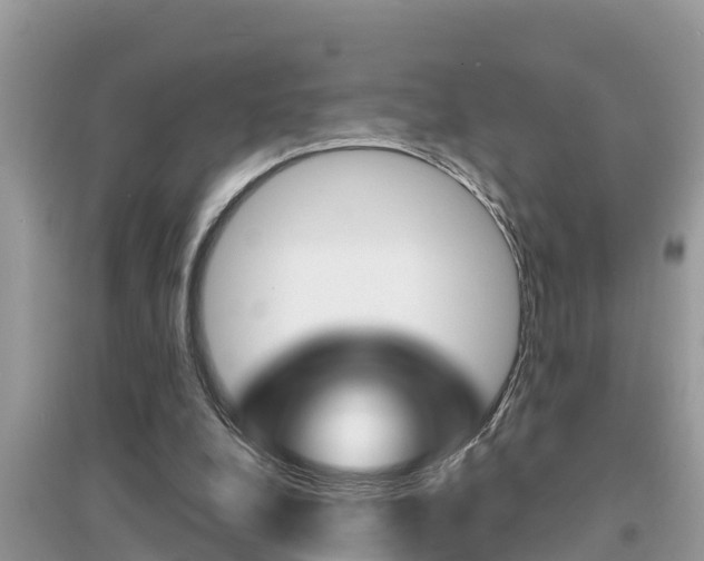 X0000095110248200712070926
