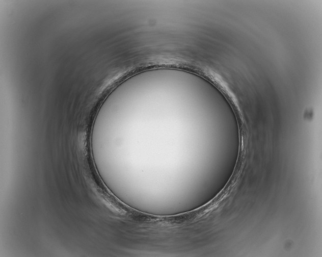 X0000095110249200712070926