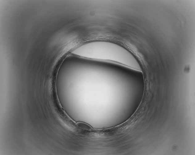 X0000095110250200712070926