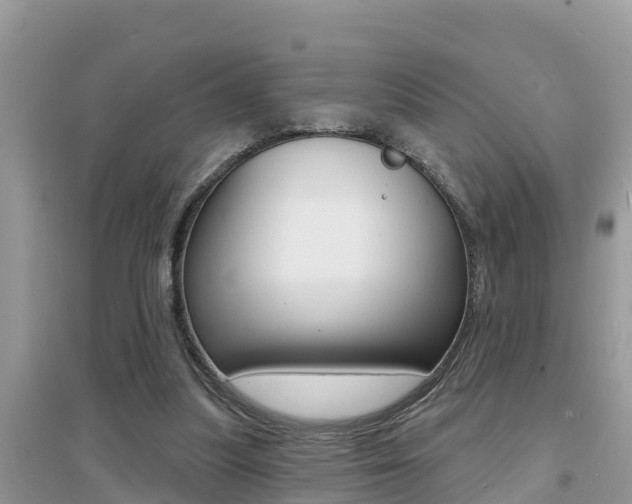 X0000095110251200712070926