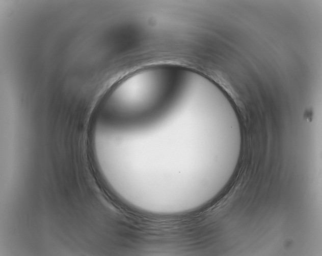 X0000095110252200712070926