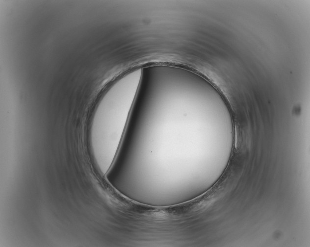 X0000095110253200712070926