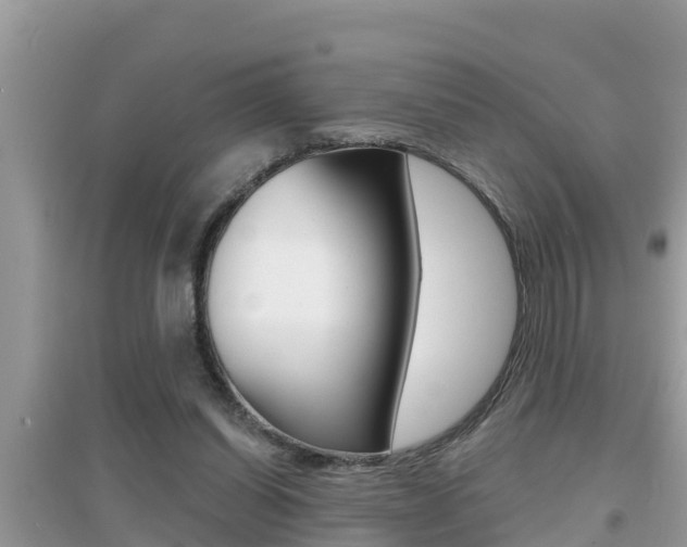 X0000095110254200712070926