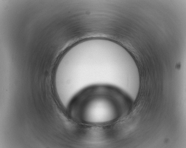 X0000095110256200712070926