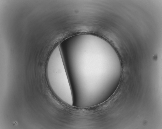 X0000095110257200712070926