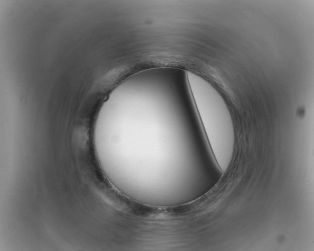 X0000095110259200712070926