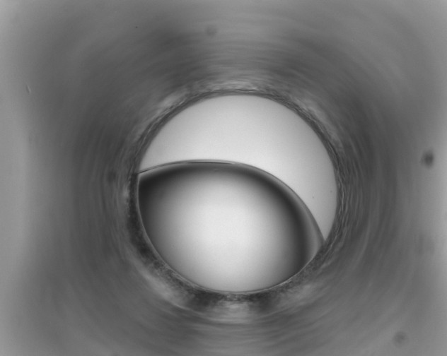 X0000095110260200712070926