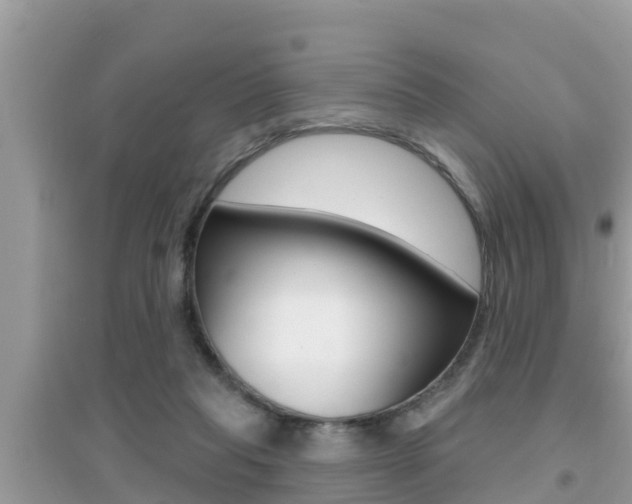 X0000095110261200712070926