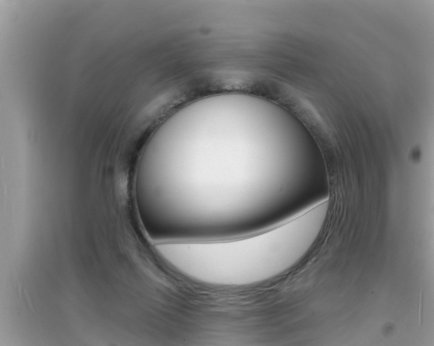 X0000095110262200712070926